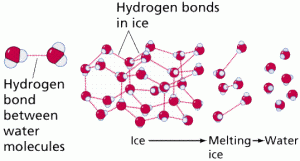 What is Chemical Bonding? Basic Mechanism of Bonding