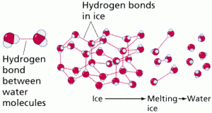 What is Chemical Bonding? Basic Mechanism of Bonding What is Chemical Bonding? Basic Mechanism of Bonding