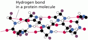 What is Chemical Bonding? Basic Mechanism of Bonding What is Chemical Bonding? Basic Mechanism of Bonding