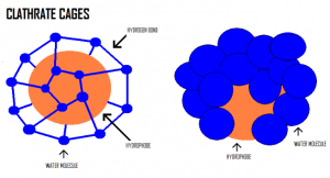 Hydrophobic Interactions in Proteins Structure - Basics and Structure Hydrophobic interaction in protein - Basics and Structure