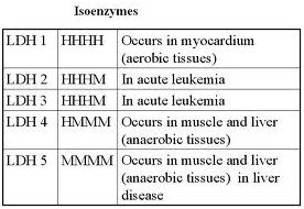 Isoenzymes are Special Proteins with Catalytic activity. Why? (MCQ) Isoenzymes are Special Proteins with Catalytic activity. Why?
