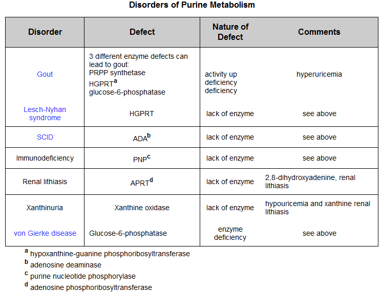 Clinical Significances of Purine Metabolism