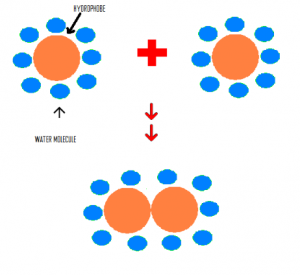 Hydrophobic Interactions in Proteins Structure - Basics and Structure Hydrophobic interaction in protein - Basics and Structure