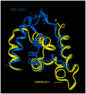 Proteins : Basic and Structural organization Proteins : Basic and Structural organization