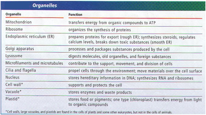 Cell Organelles table