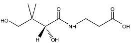 VITAMINS: What are Vitamins and its sources (Basic Guide) Structure of Vitamin B5