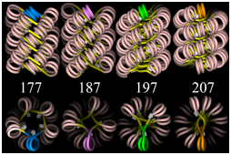 What are the Chromatin Structure and Function What are the Chromatin Structure and Function