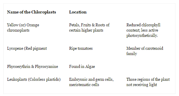 Chloroplast location and types