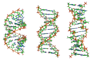 What are the Chromatin Structure and Function? What are the Chromatin Structure and Function
