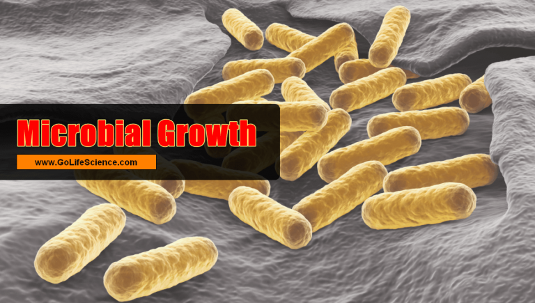 Microbial growth and its Basics