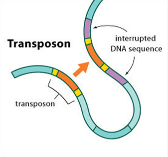 go life sciences