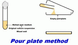 Microbial Physiology: Yields of Microbes Microbial Physiology: Yields of Microbes