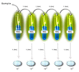 Microbial Physiology: Yields of Microbes Microbial Physiology: Yields of Microbes