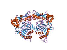 What is Bacterial Stress Response? What is Bacterial Stress Response?