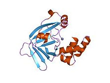 metal binding protein