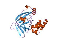 What is Bacterial Stress Response? metal binding protein