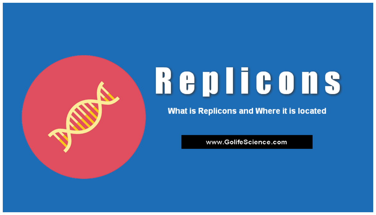 what are replicons in cell?