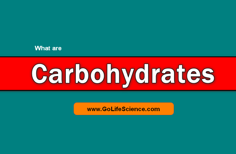 Carbohydrates : Classification and its Basics what are carbohydrates? How to Classify?