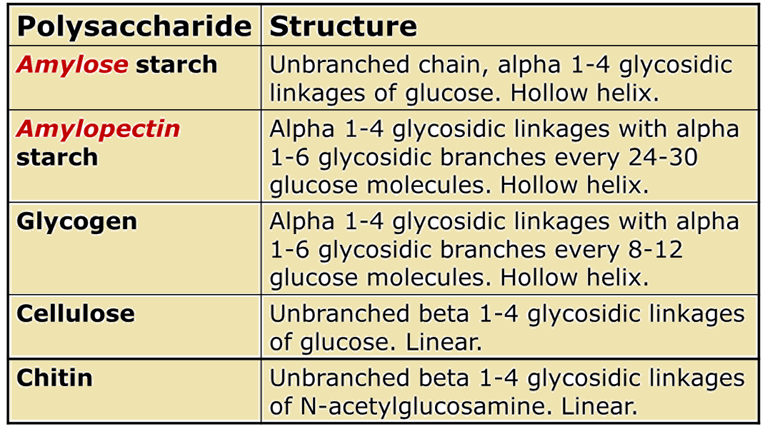 homopolysaccharide table