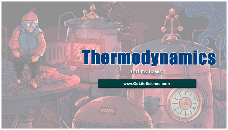 What is Thermodynamics? Explain the Thermodynamic Laws?