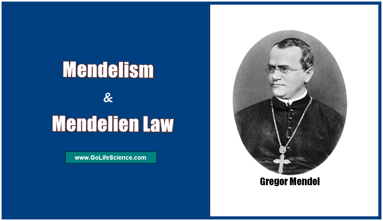Mendelism and Mendelian law