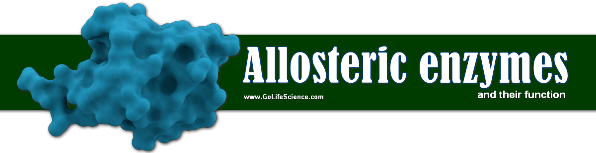 allosteric enzymes