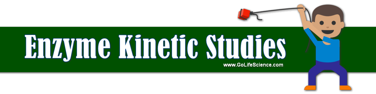 Enzyme Kinetics: Kinetic Study of Enzymatic Reactions enzyme kinetic studies