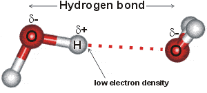 Hydrogen Bonding - Types and its Nature hydrogen bonding