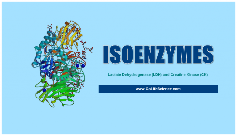 Isoenzymes are Special Proteins with Catalytic activity. Why? (MCQ)