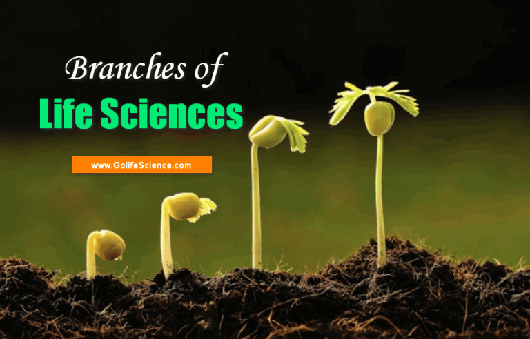 What are the Branches of Life Sciences and their meanings?
