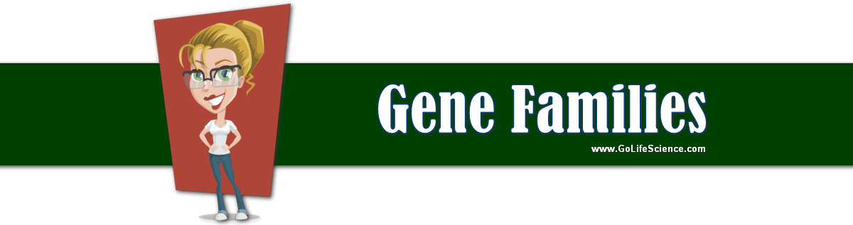 What are Gene Families and How they Evolved? gene families