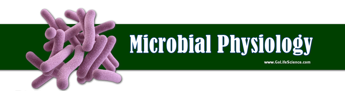 Microbial Physiology: Yields of Microbes microbial physiology