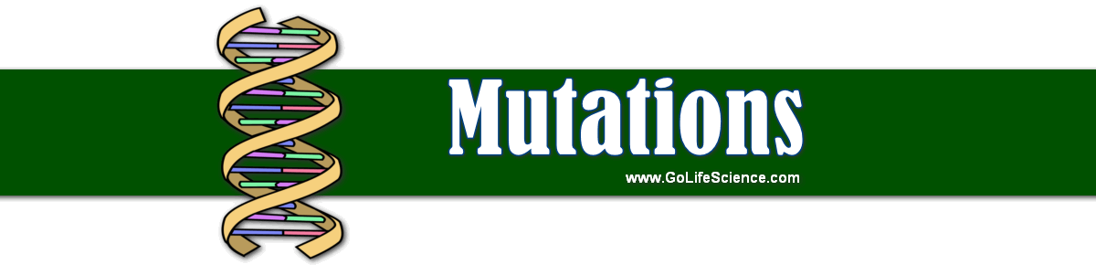 Mutations types