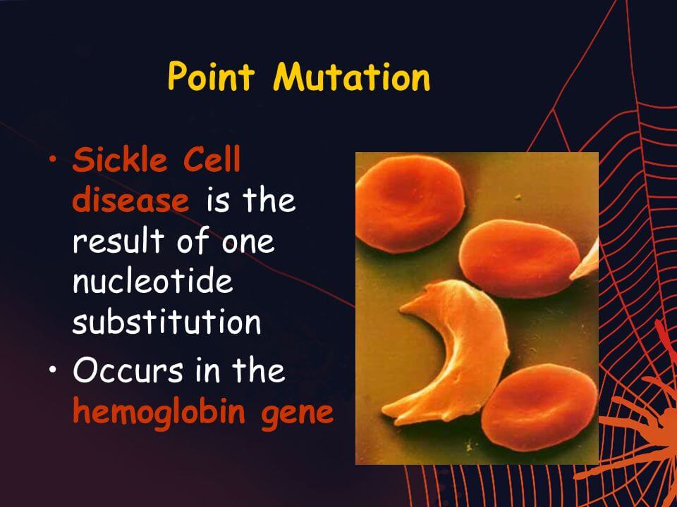 Mutations: What is Mutations and its types point mutations