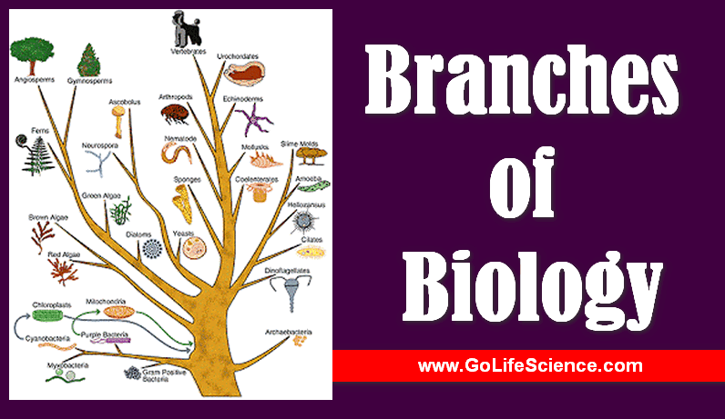 branches of Biology