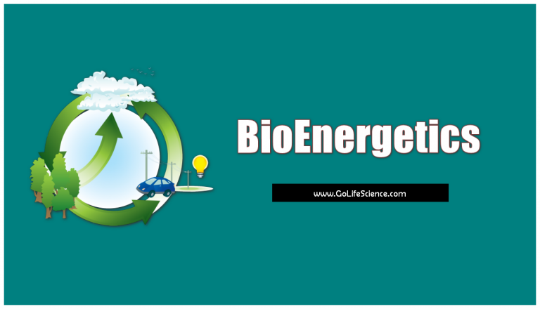 Bioenergetics: Study of Free Energy Transformation and its changes