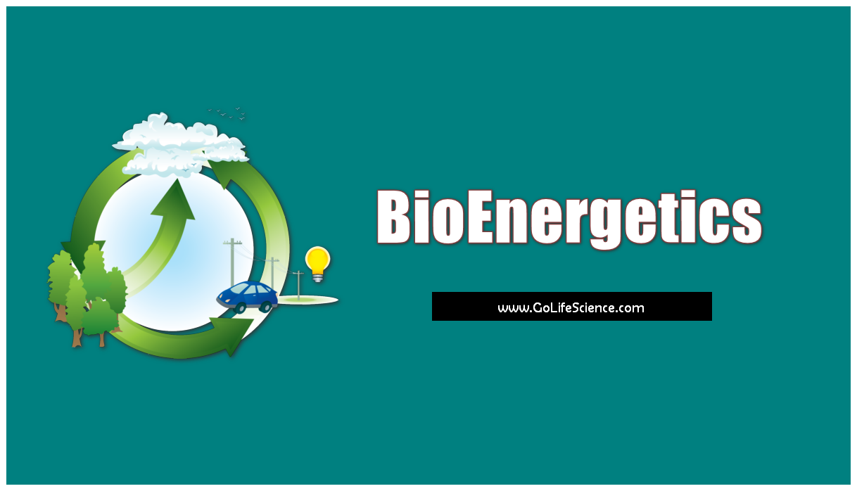 Bioenergetics : Study of Free Energy Transformation and its changes bioenergetics - energy transformation