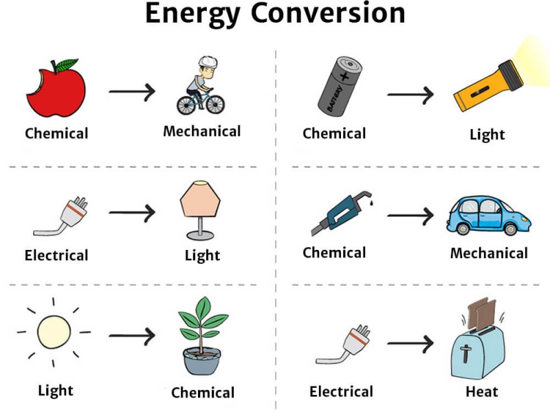Bioenergetics: Study of Free Energy Transformation and its changes energy conversion examples