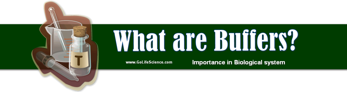 What are Buffers and What is the Importance in Biological system? what are buffers
