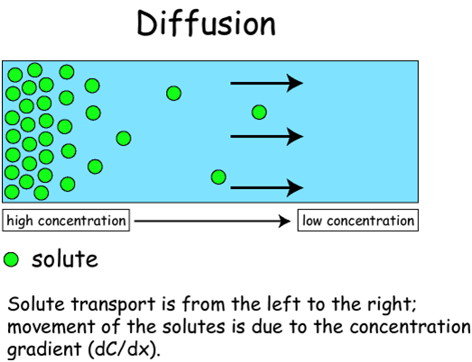 Passive Transport: What is Passive Transport, Types and ...
Example Of Passive Transport