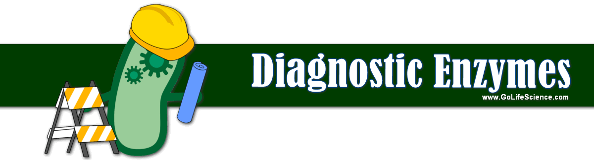 Diagnostic Enzymes: The Serum markers in Clinical Analysis and Biosensors diagnostic enzymes details