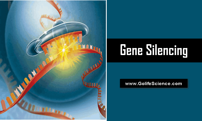 Gene Silencing : Gene expression regulation at Particular Gene