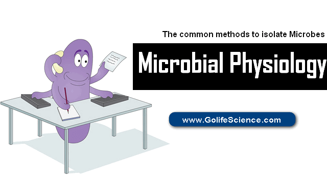 Microbial Physiology: Yields of Microbes