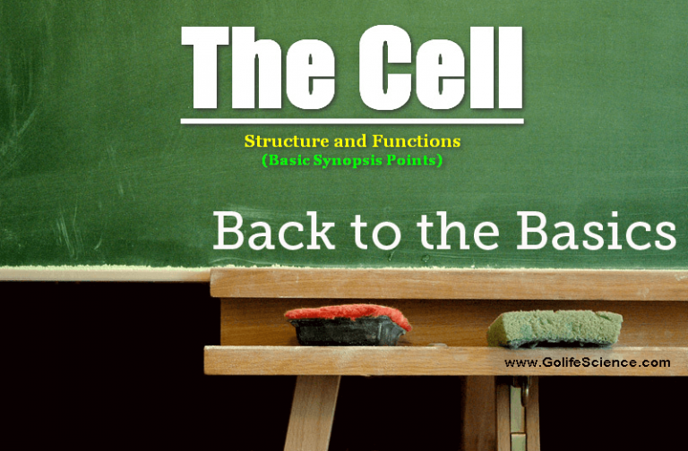 The Cell – Structure and Functions (Synopsis Points)