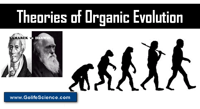 Theories of Organic Evolution Explains the Origin of Life (Complete Notes)