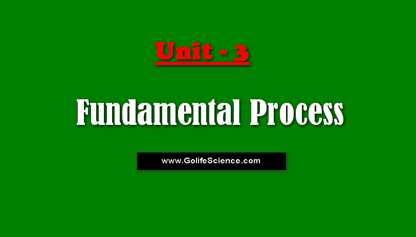 Fundamental processes
