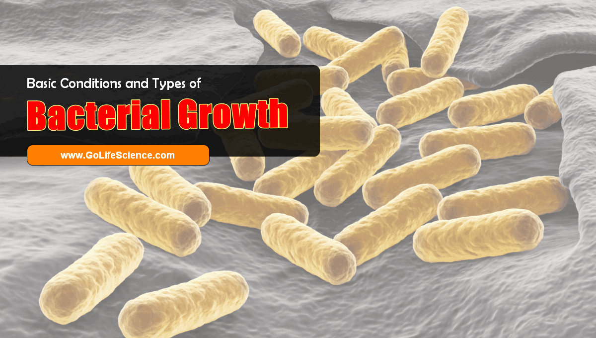 Basic Conditions and Types of bacterial growth