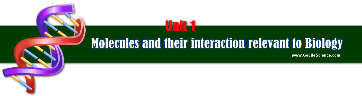 unit 1 Molecules and their interaction relevant to Biology